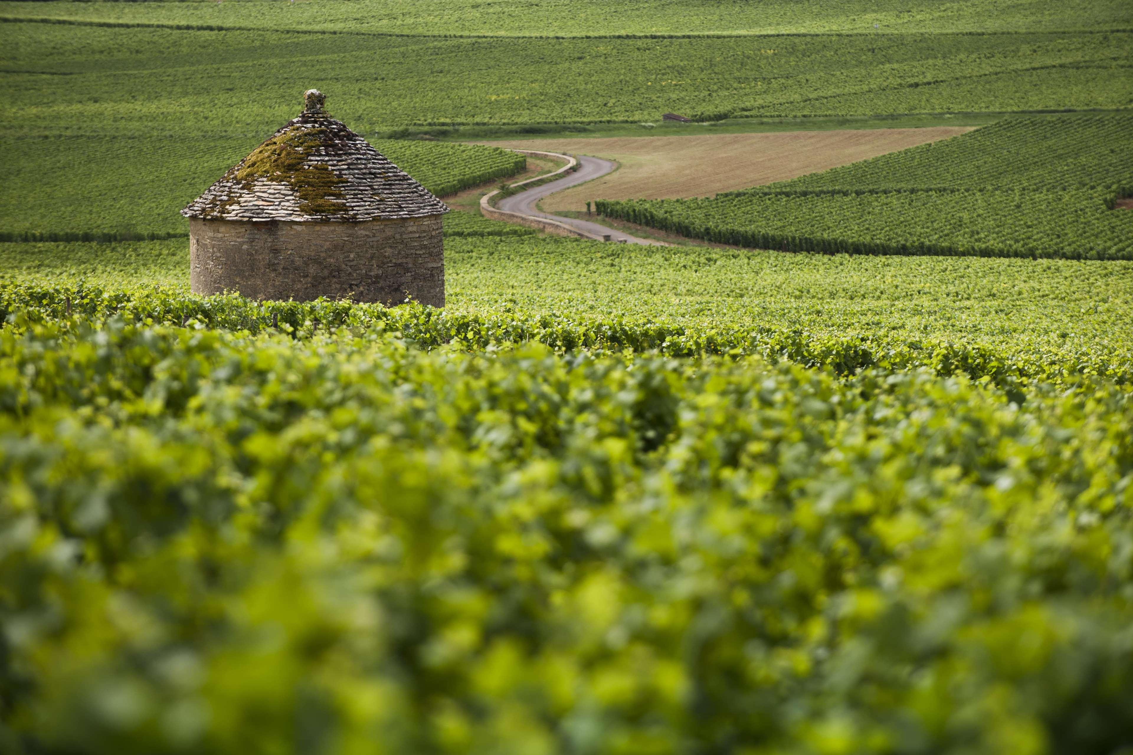 Kyriad Beaune Beaune  Eksteriør billede